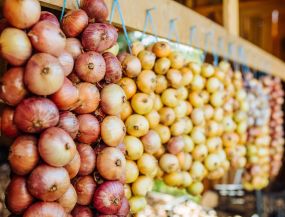 путешествие на автобусе - ЭСТОНСКИЙ ЛУКОВЫЙ ПУТЬ