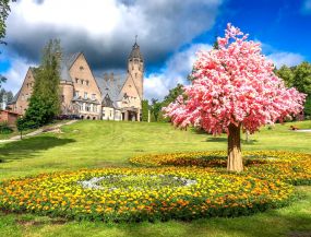 путешествие на автобусе - Новинка!!! АЛИСА В СТРАНЕ ЧУДЕС - ГРИБЫ ЧАГА - ЗООПАРК КААСИКУ