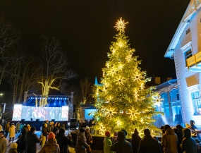 путешествие на автобусе - НОВЫЙ ГОД В ПАЛАНГЕ С БАНКЕТОМ И ШОУ ПРОГРАММОЙ