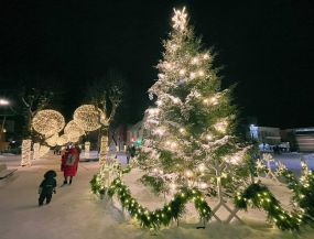 ceļojumi ar autobusu - OGRES ZIEMASSVĒTKU GAISMAS UN SKRĪVERU GARDUMI