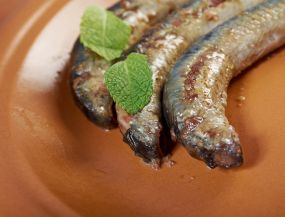 путешествие на автобусе - Новинка!!! ПО СЛЕДАМ МИНОГИ